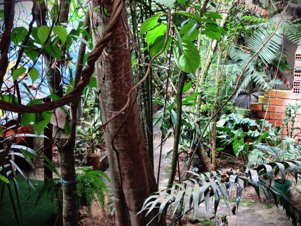 Hospedaje Ecologico Purma Wasi Tarapoto Zewnętrze zdjęcie