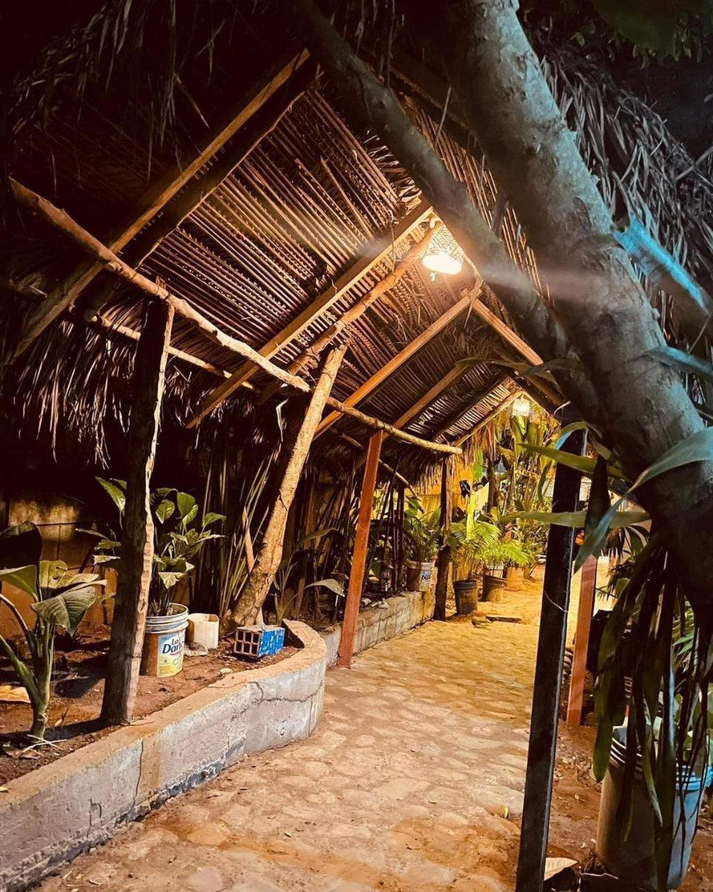 Hospedaje Ecologico Purma Wasi Tarapoto Zewnętrze zdjęcie