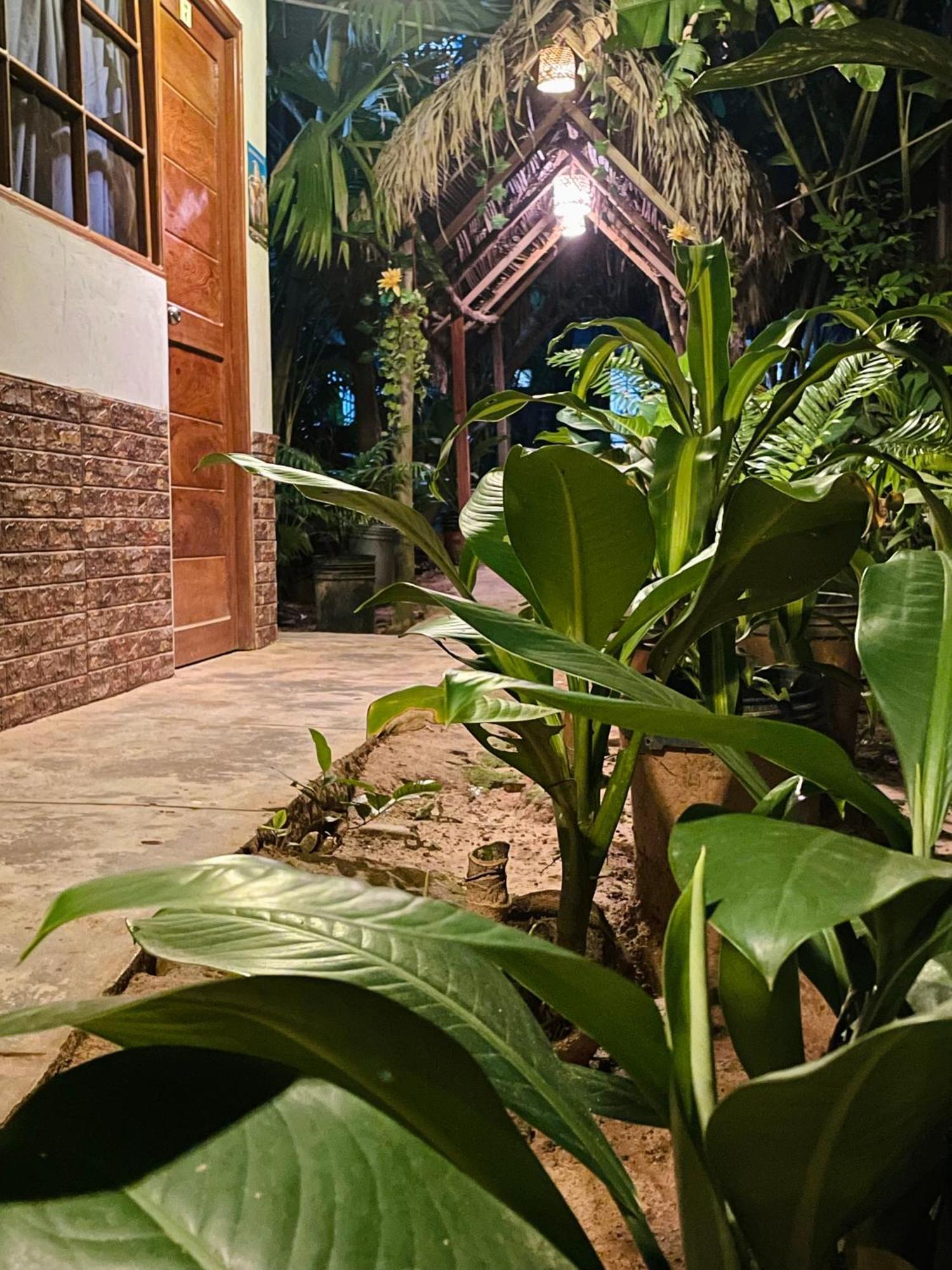 Hospedaje Ecologico Purma Wasi Tarapoto Zewnętrze zdjęcie