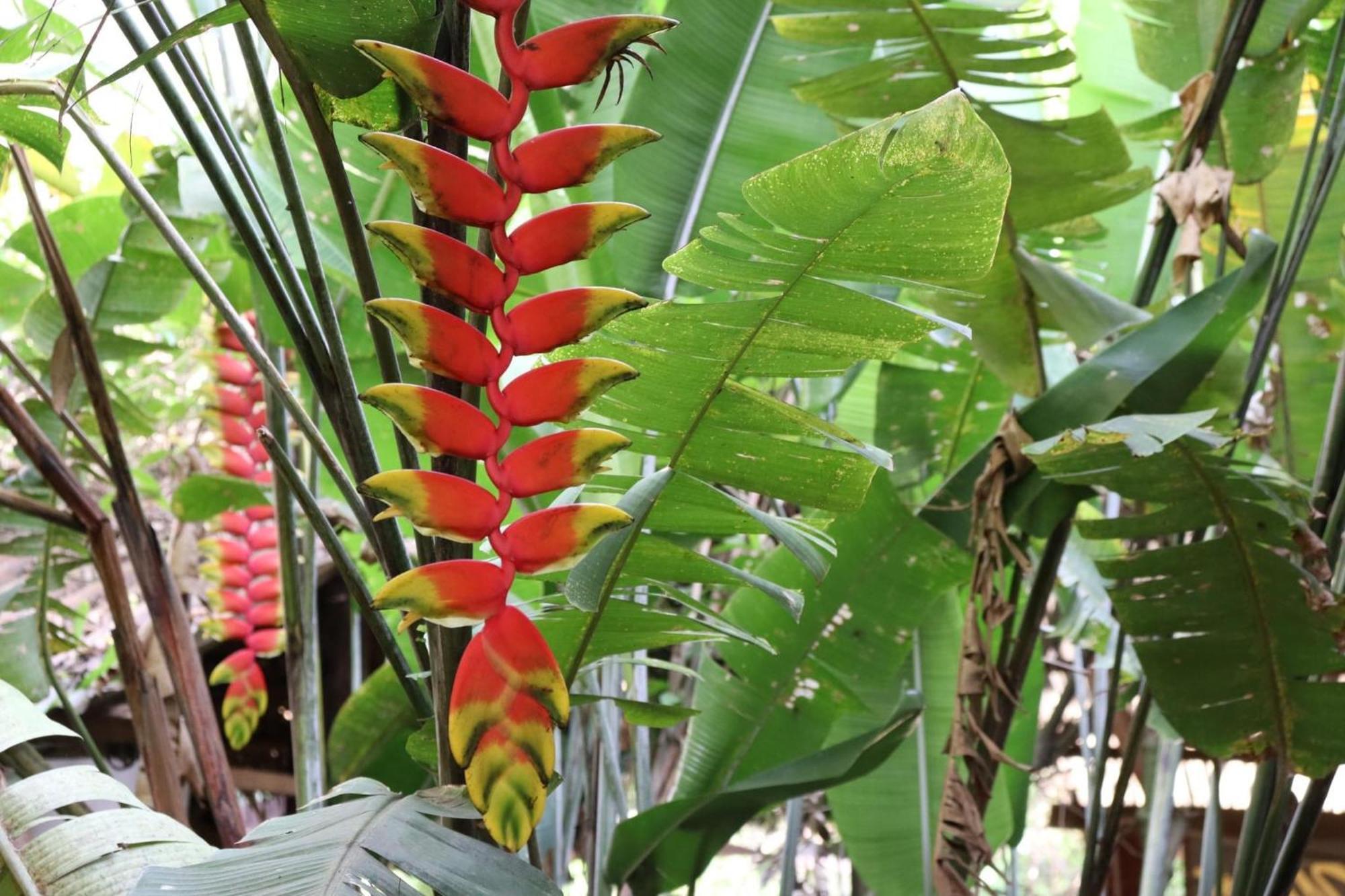 Hospedaje Ecologico Purma Wasi Tarapoto Zewnętrze zdjęcie